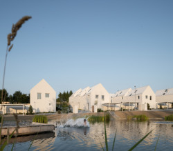 Projekt Green Village podle návrhu studia monom