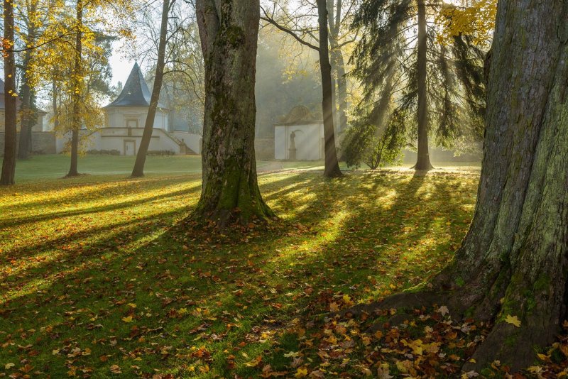 Revitalizace zámeckého areálu Návarov, M3M