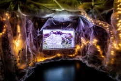 Výstava studentských prací na Fakultě architektury ČVUT v Praze je k vidění do 10. února