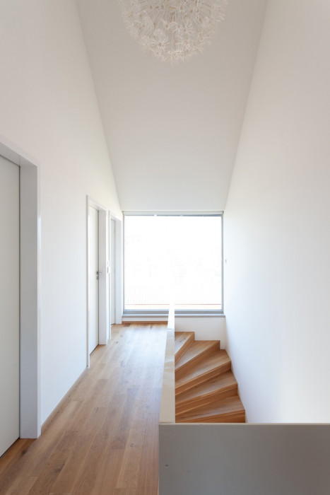 Dům před dvůr, DDAANN