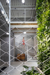 Zubaři Nad Mlýnem, studio Raketoplán