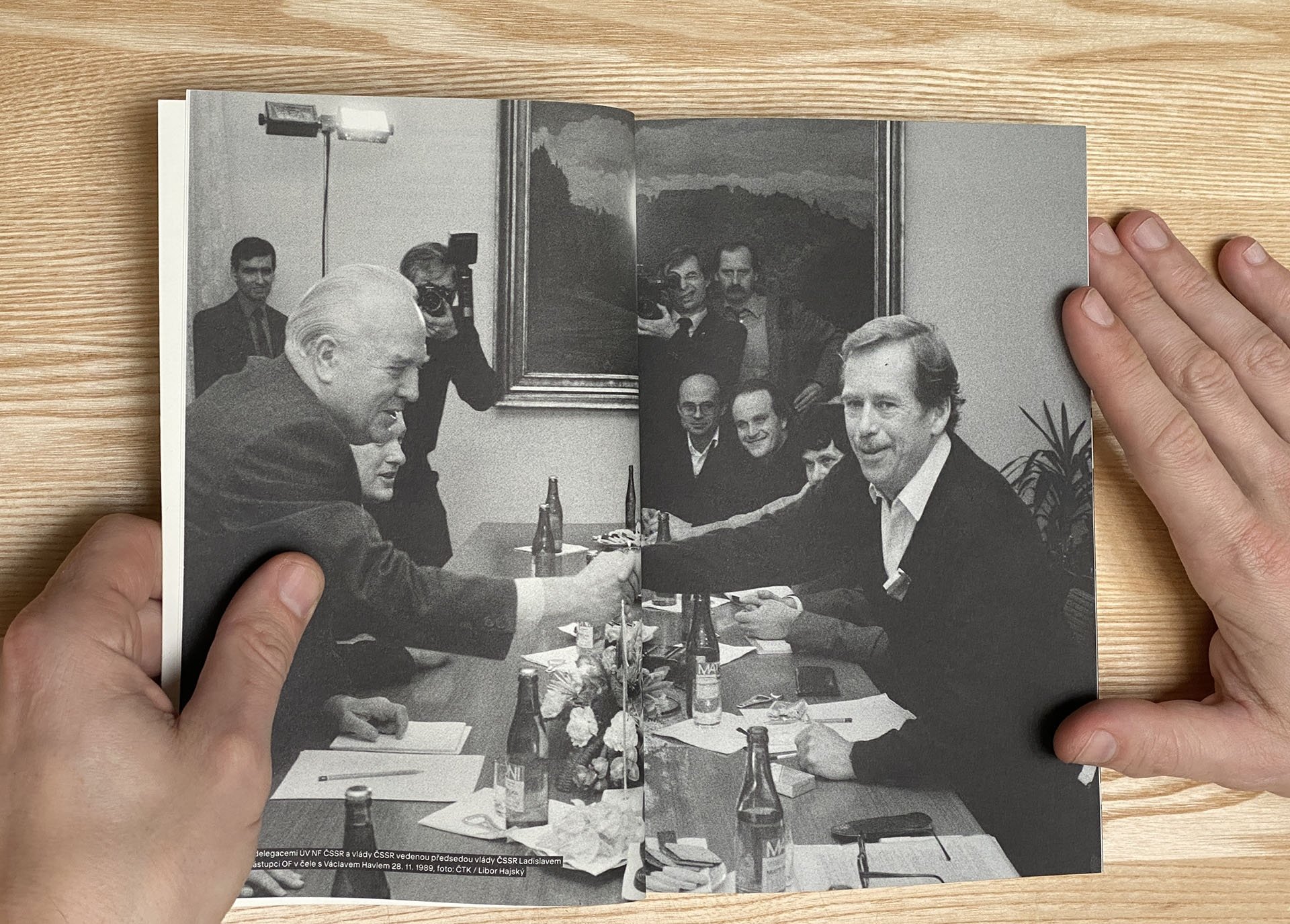 Václav Havel se netajil tím, že paneláky mu připomínají "králikárny."