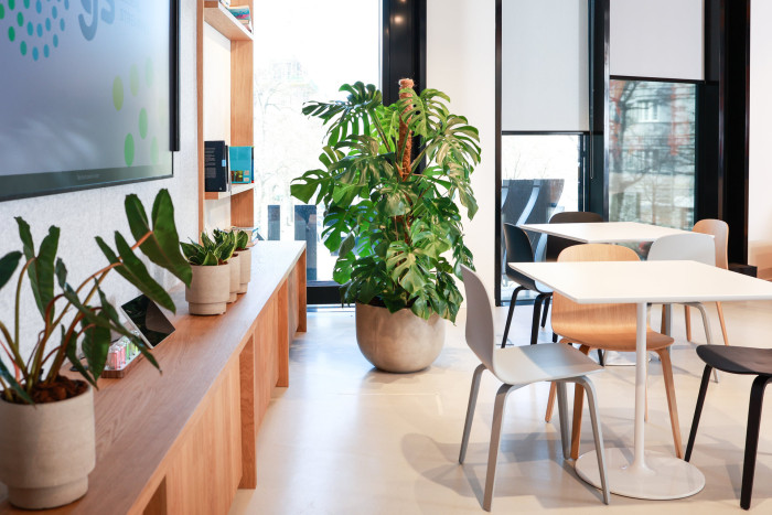 Pronájem rostlin s péčí od Jungle Interiors