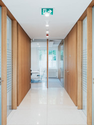 Vila Mudroňova, Ilja Skoček