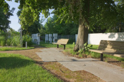 Posezení pod lípou  (Rekonstrukce hřbitova v Pátku, Tomáš Podrázský)