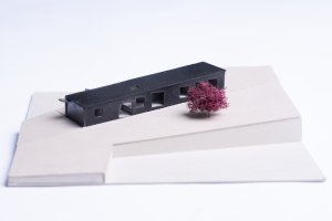 Rodinný dům v Radvanicích, ti2 architekti / Tomáš Kozel, Kamil Měrka, model