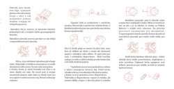 Šimon Marek, Martin Utíkal, Tobiáš Hrabec - Největší Rybník - anotace - foto