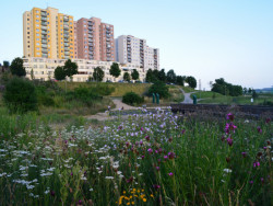 Sídliště Nový Lískovec v Brně