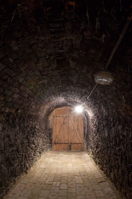 ORA, Vinný sklep U Modráka – foto