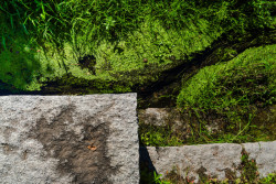 Koryty říčky Příšovky (Příšovická náves, atakarchitekti)