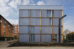 PPA Architectures, 50 Modular Timber Apartments - foto