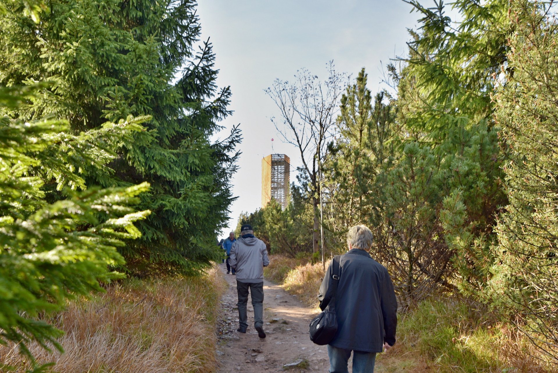 Účel rozhledny: přilákat turisty v létě do lesů. Foto:&nbsp;Foto: Studio HCJ Hradec Králové