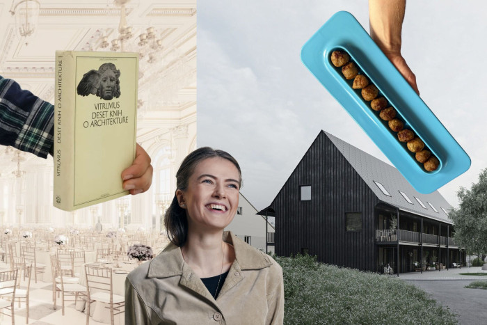 Dřevěné bytovky v Adršpachu, Trumpův klasicismus a talíř na masové kuličky IKEA