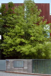 OK plan, rodinný dům Plecháč