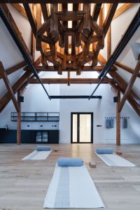 Multifunkční sál v podkroví (Villa Fitz v Rokycanech, Luni architekti)