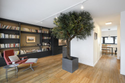 Řadové domy v Opavě