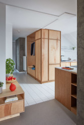 Původně jste se po příchodu do bytu ocitli v tmavé, uzavřené, stísněné chodbě. Ta je nyní díky šetrnému zásahu nejen prosvětlená, ale i prostorná. (Rekonstrukce podkrovního bytu, Matěj Šebek)