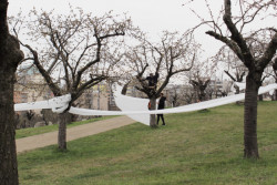 Landartová instalace Třešňovka, Tomáš Kodet.