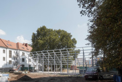 Architekti ze studia Chybík + Krištof obnovili slavný Mendelův skleník v Brně