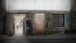 Tereza Komárková, Arthive - foto