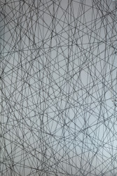 Lasagneria, Mar.s architects