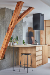 Skrze interiér prochází také dřevěný krov domu. (Rekonstrukce podkrovního bytu, Matěj Šebek)