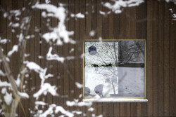 Med Pavlík architekti navrhli úsporný rodinný dům v sadu na Pardubicku