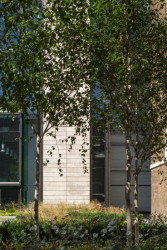 Nové křídlo Britského muzea, Rogers Stirk Harbour + Partners