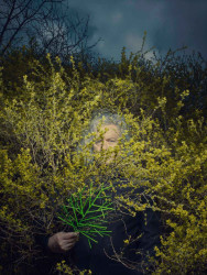 fotografie k výstavě Bódy Horáka