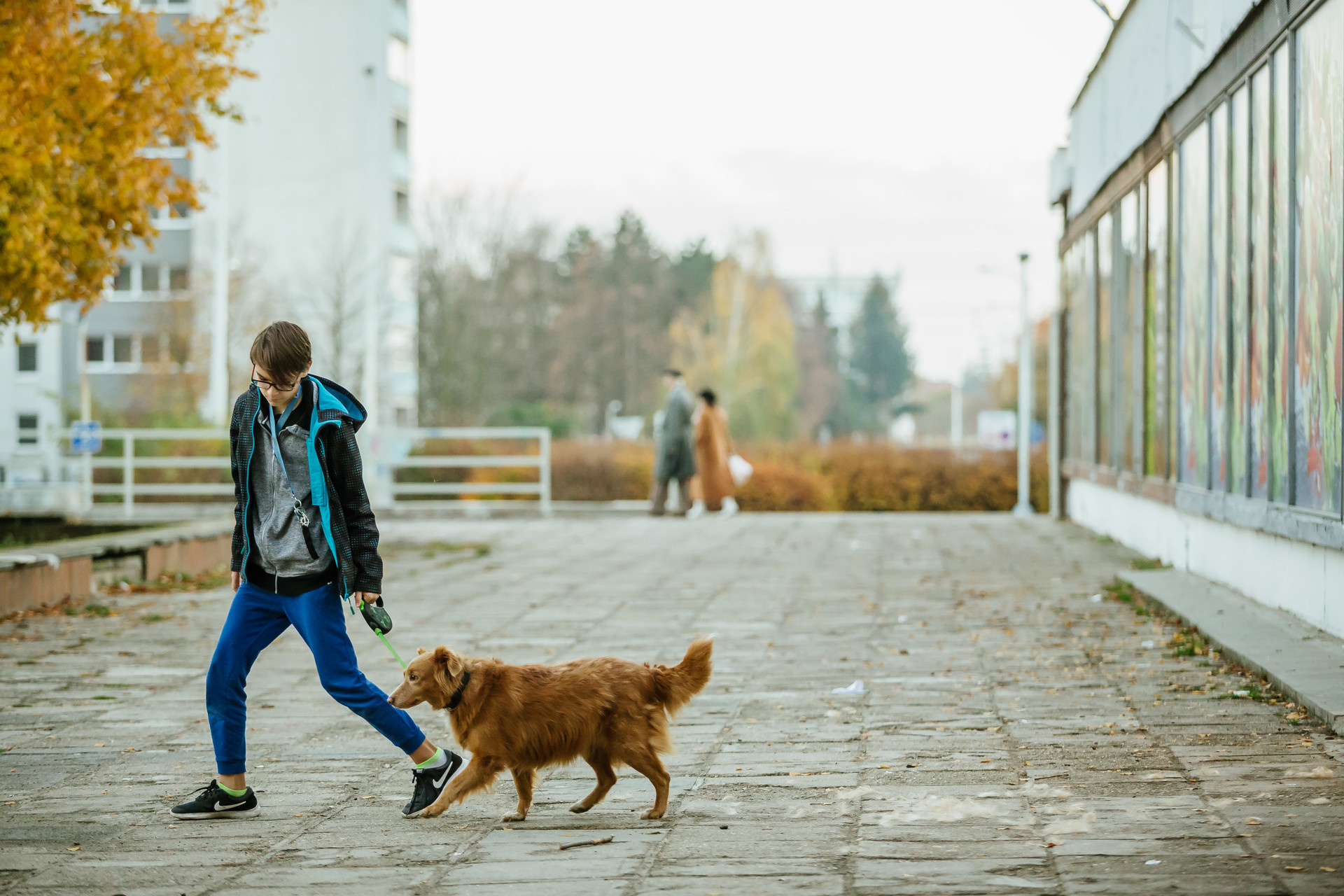 Praha představila novou územní studii pro sídliště Ďáblice, podle které se může území rozvíjet a zároveň chránit