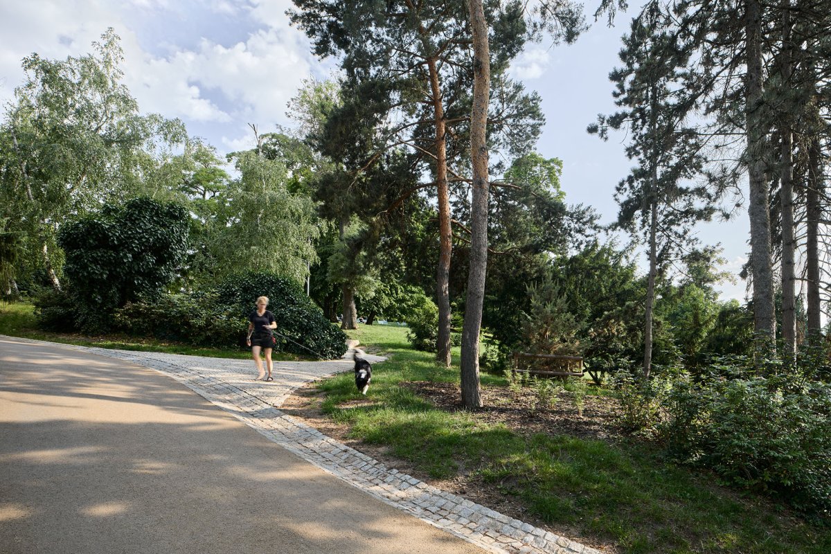Obnova Riegrových sadů, Matouš Jebavý