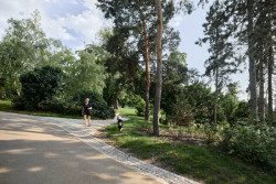 Obnova Riegrových sadů, Matouš Jebavý