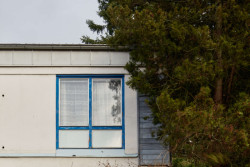 Omítky byly stříkané, značky Cerami, které se vyráběly podle britské licence.