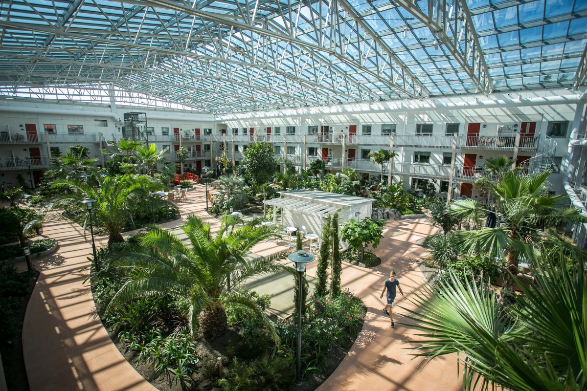 Zelená atria od Jungle Interiors