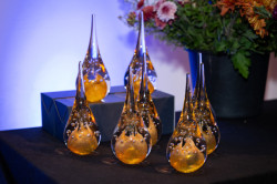 Ceny Adapterra Awards z roku 2024