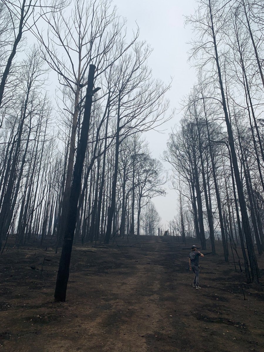 Foto po ničivém požáru v údolí Kangaroo Valley