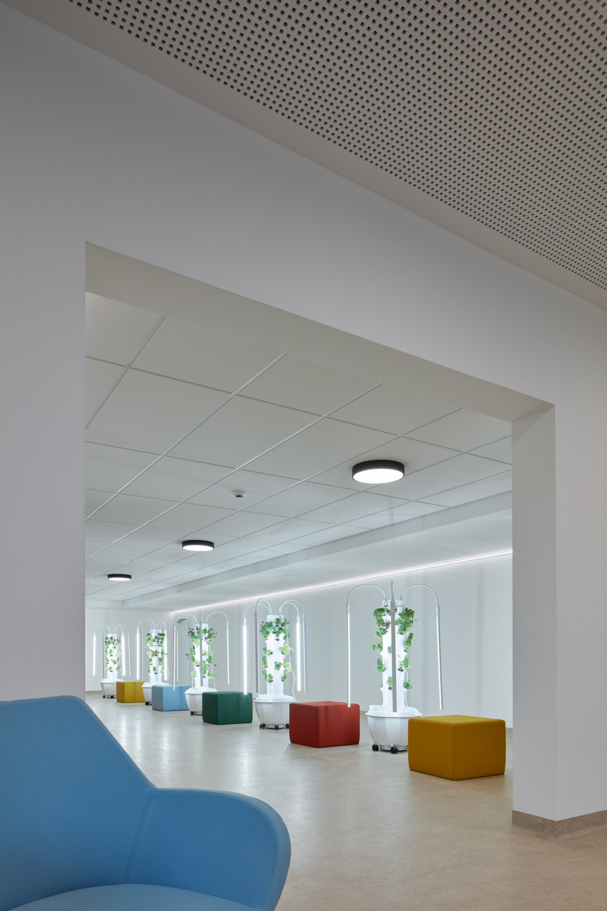Barevný je například kusový nábytek. (Dětská léčebna se speleoterapií v Ostrově u Macochy; Adam Rujbr Architects)