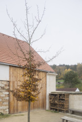 Úprava hospodářského dvora Bukonec pro bydlení, projectstudio8