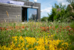 Sídlo firmy Zahradní Architektura Kurz