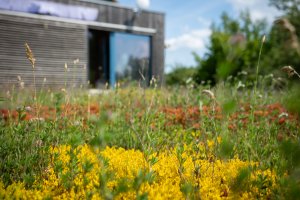 Sídlo firmy Zahradní Architektura Kurz