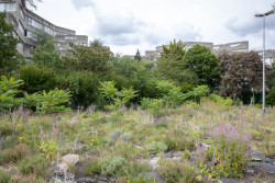  6. června 2024 vystoupí v rámci přednáškového cyklu Kra/jiná pařížský ateliér Wagon Landscaping i tuzemský ateliér Terra Florida.