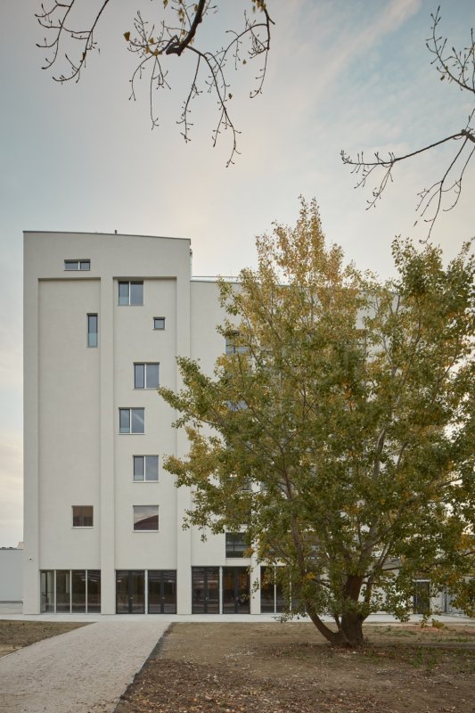 Mlýnica, GutGut