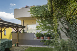 Bytový dům Terasy v Bělé pod Bezdězem, Archa.