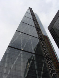 Okurka a spol. - foto