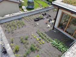 Luka nad Jihlavou – extenzivní střecha a pěstební střešní zahrada