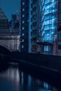 Nihon Noir