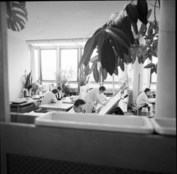 Projekční ateliéry v budově Centroprojektu