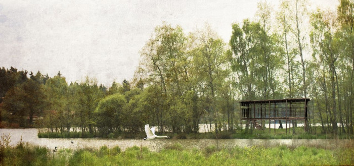 Vu Dinh Quang, Daniela Míková a Ondřej Novák, Malá architektura pro Velký rybník, pozorovatelna vodního ptactva - foto