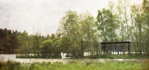 Vu Dinh Quang, Daniela Míková a Ondřej Novák, Malá architektura pro Velký rybník, pozorovatelna vodního ptactva - foto