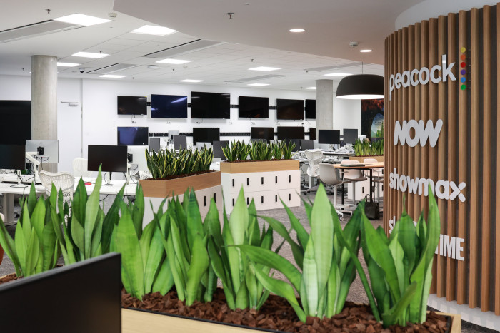 Pronájem rostlin s péčí od Jungle Interiors